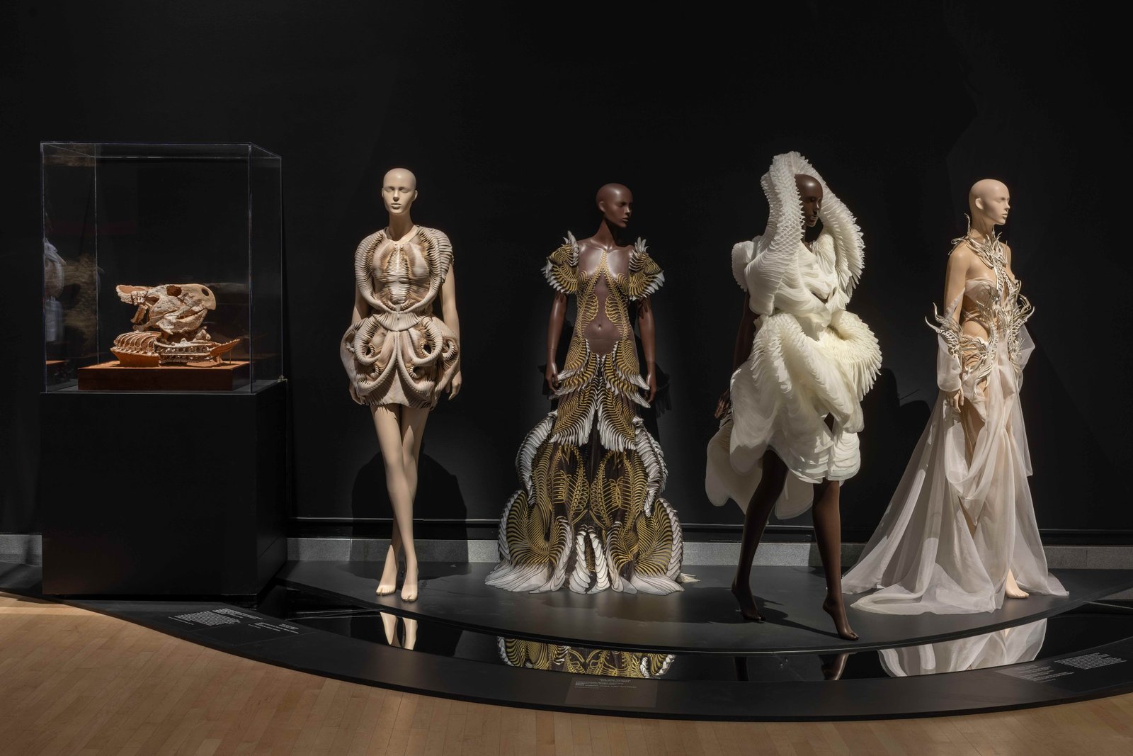 Installation view of Iris van Herpen: Sculpting the Senses, Brooklyn Museum, 2026. Photo: Paula Abreu Pita