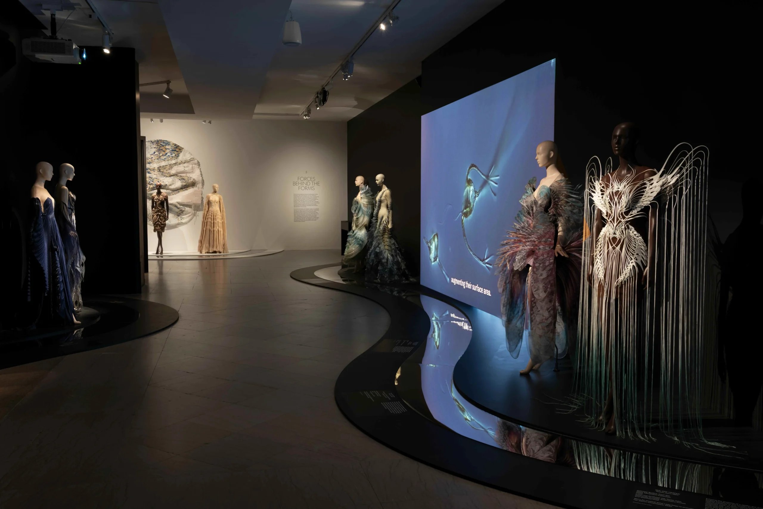 Installation view of Iris van Herpen: Sculpting the Senses, Brooklyn Museum, 2026. Photo: Paula Abreu Pita